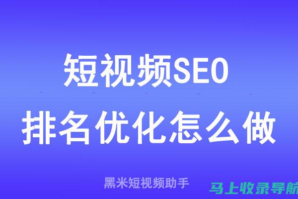 短视频SEO代理实战案例分享：成功经验与教训